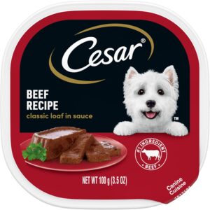 CESAR Wet Dog Food Loaf in Sauce Beef Recipe, (24) 3.5 oz. Easy Peel Trays