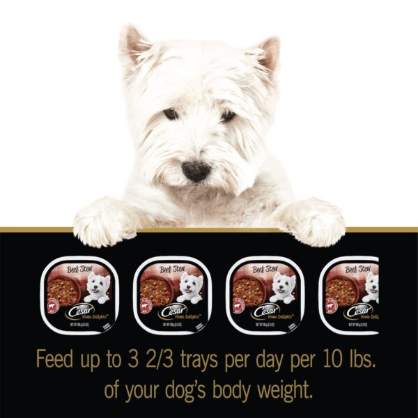 Cesar Home Delight Wet Dog Food, Beef Stew 3.5 Oz Tray (pack of 1) - Image 7