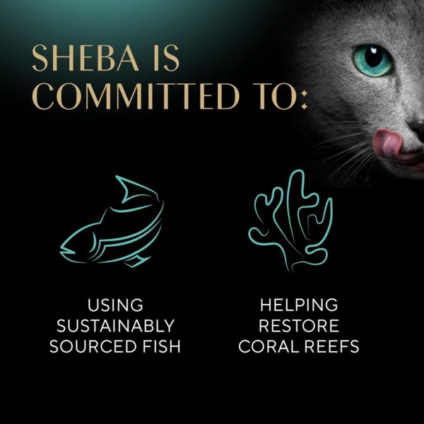 Sheba Perfect Portions Kitten Wet Cat Food Pate Salmon Entree, 2.6 oz. Twin-Pack Trays (24 Count, 48 Servings) - Image 7