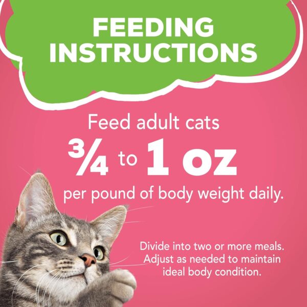 Purina Friskies Wet Cat Food Pate, Pate Salmon Dinner - (Pack of 24) 5.5 oz. Cans - Image 11