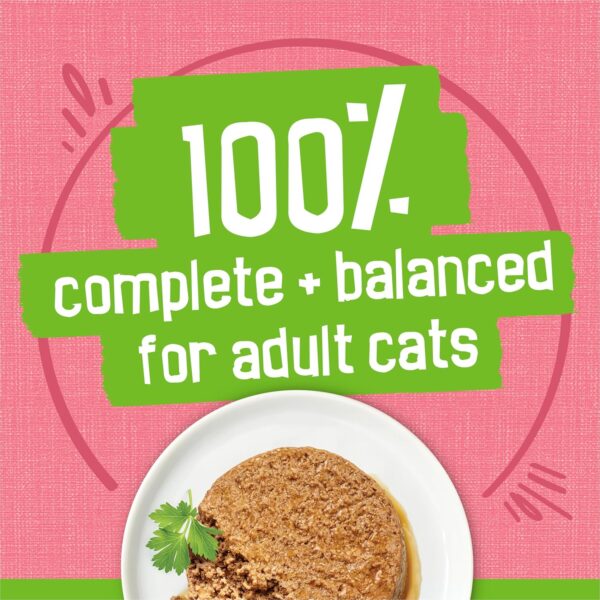 Purina Friskies Wet Cat Food Pate, Pate Salmon Dinner - (Pack of 24) 5.5 oz. Cans - Image 5