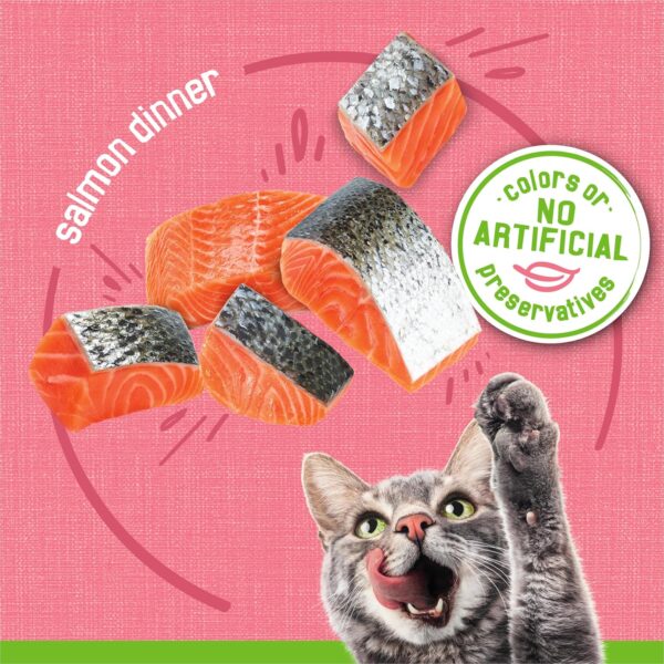 Purina Friskies Wet Cat Food Pate, Pate Salmon Dinner - (Pack of 24) 5.5 oz. Cans - Image 4