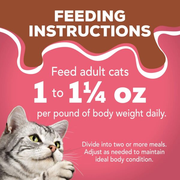 Purina Friskies Extra Gravy Chunky, Soft Salmon, Wet Cat Food, 5.5 oz Can - Image 12