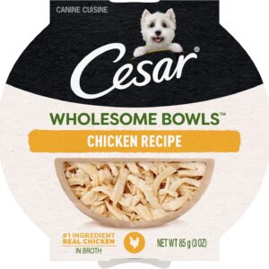 CESAR WHOLESOME BOWLS Adult Soft Wet Dog Food Chicken Recipe, 3 oz. Bowls