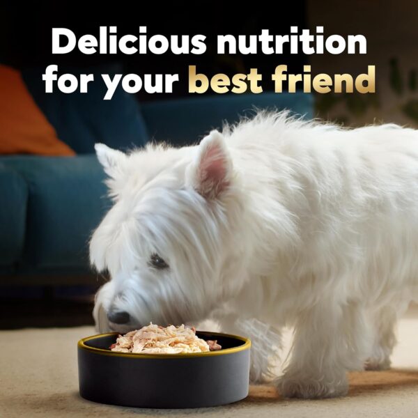CESAR WHOLESOME BOWLS Adult Soft Wet Dog Food Chicken Recipe, 3 oz. Bowls - Image 9