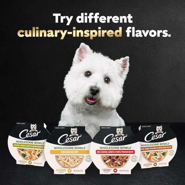 CESAR WHOLESOME BOWLS Adult Soft Wet Dog Food Chicken Recipe, 3 oz. Bowls - Image 12