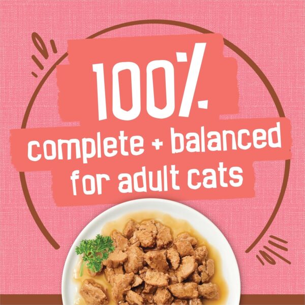 Purina Friskies Extra Gravy Chunky, Soft Salmon, Wet Cat Food, 5.5 oz Can - Image 7