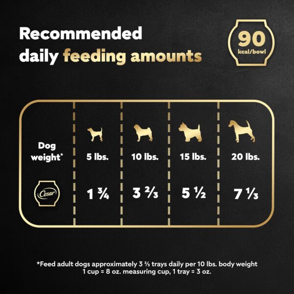 CESAR WHOLESOME BOWLS Adult Soft Wet Dog Food Chicken Recipe, 3 oz. Bowls - Image 8