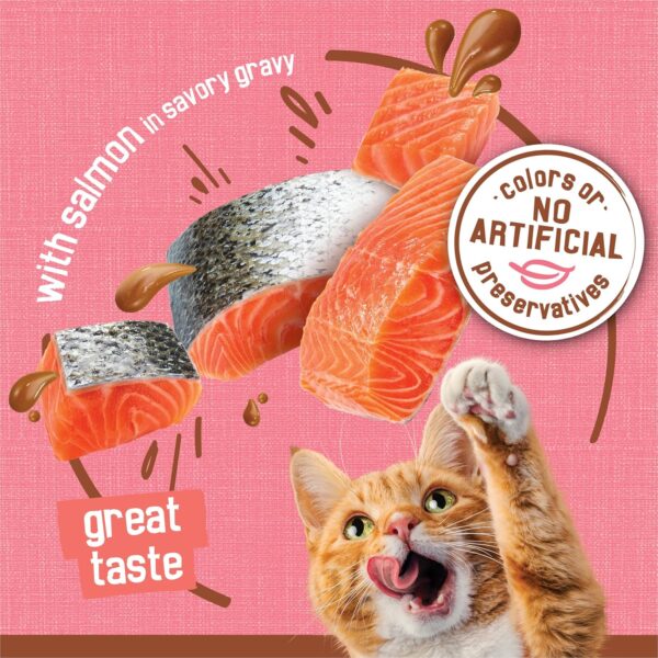 Purina Friskies Extra Gravy Chunky, Soft Salmon, Wet Cat Food, 5.5 oz Can - Image 5