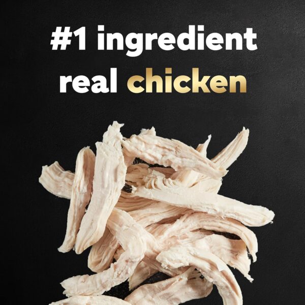CESAR WHOLESOME BOWLS Adult Soft Wet Dog Food Chicken Recipe, 3 oz. Bowls - Image 5