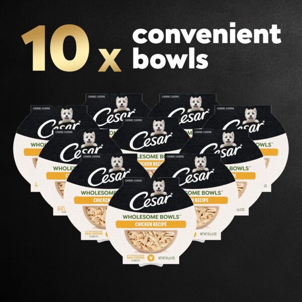 CESAR WHOLESOME BOWLS Adult Soft Wet Dog Food Chicken Recipe, 3 oz. Bowls - Image 4