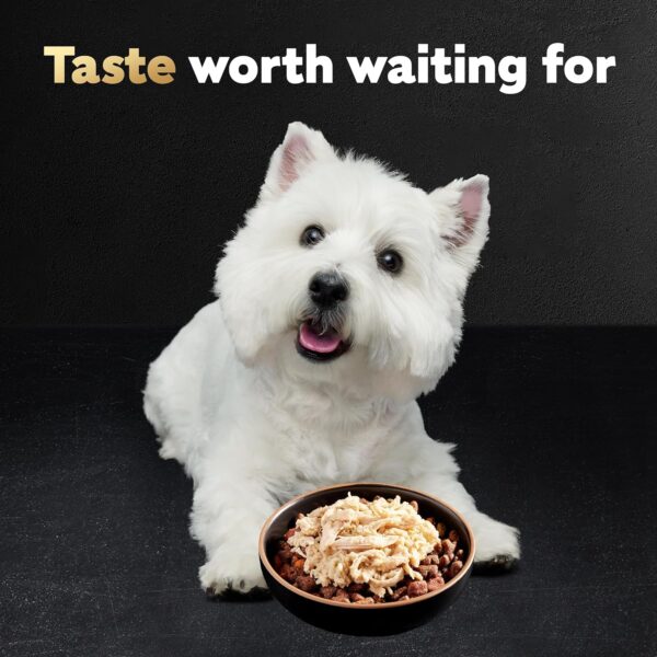 CESAR WHOLESOME BOWLS Adult Soft Wet Dog Food Chicken Recipe, 3 oz. Bowls - Image 11