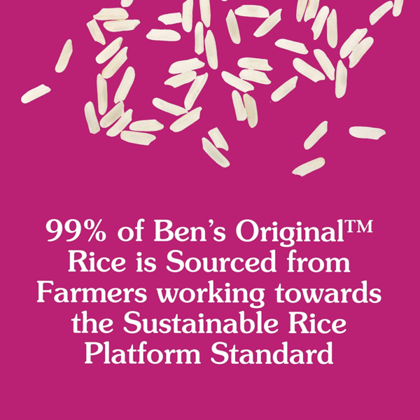 Ready Rice Spanish Style Flavored Rice, Easy Dinner Side, 8.8 OZ Pouch (Pack of 12) - Image 8