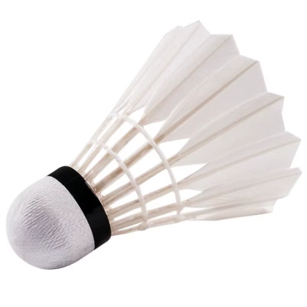 12Pcs/Pack Plastic Shuttle Cork Badminton Shuttlecock Badminton Birdies Bedminton Goose Feather Ball Train Badminton Accessories - Image 3